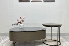 mau-ban-sofa-dep-250316-23