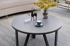 mau-ban-sofa-250310-12