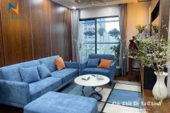 mau-sofa-vang-ni-p1-250205-11