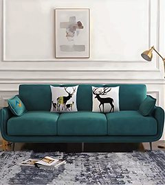 Hình Ảnh Sofa Xanh Cổ Vịt